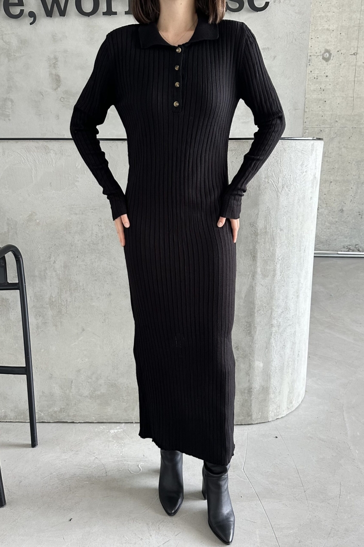 Polo Collar Buttoned Dress