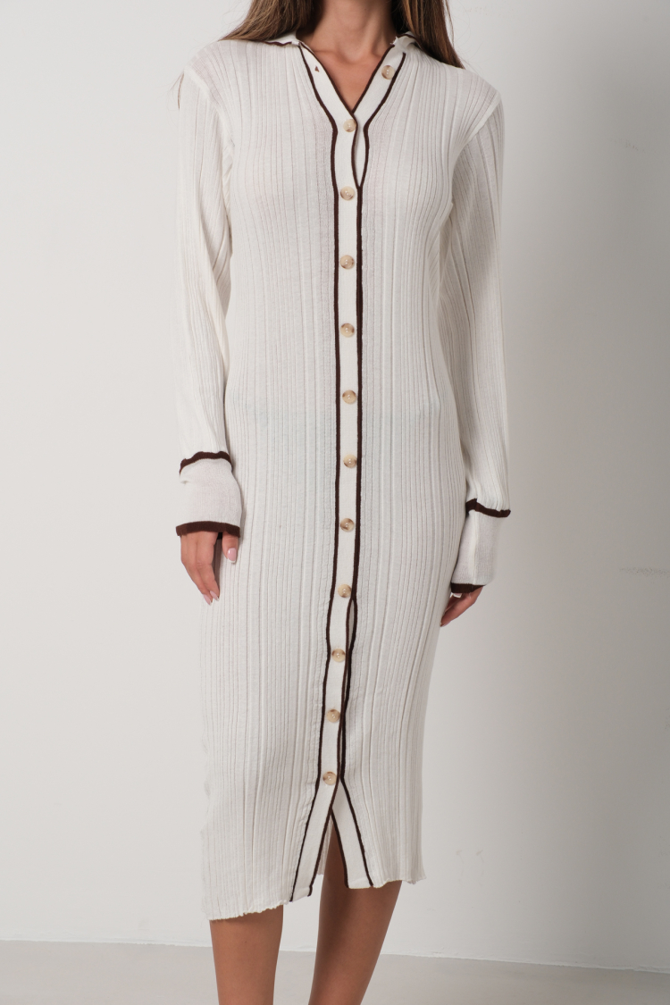 Polo Collar Buttoned Dress