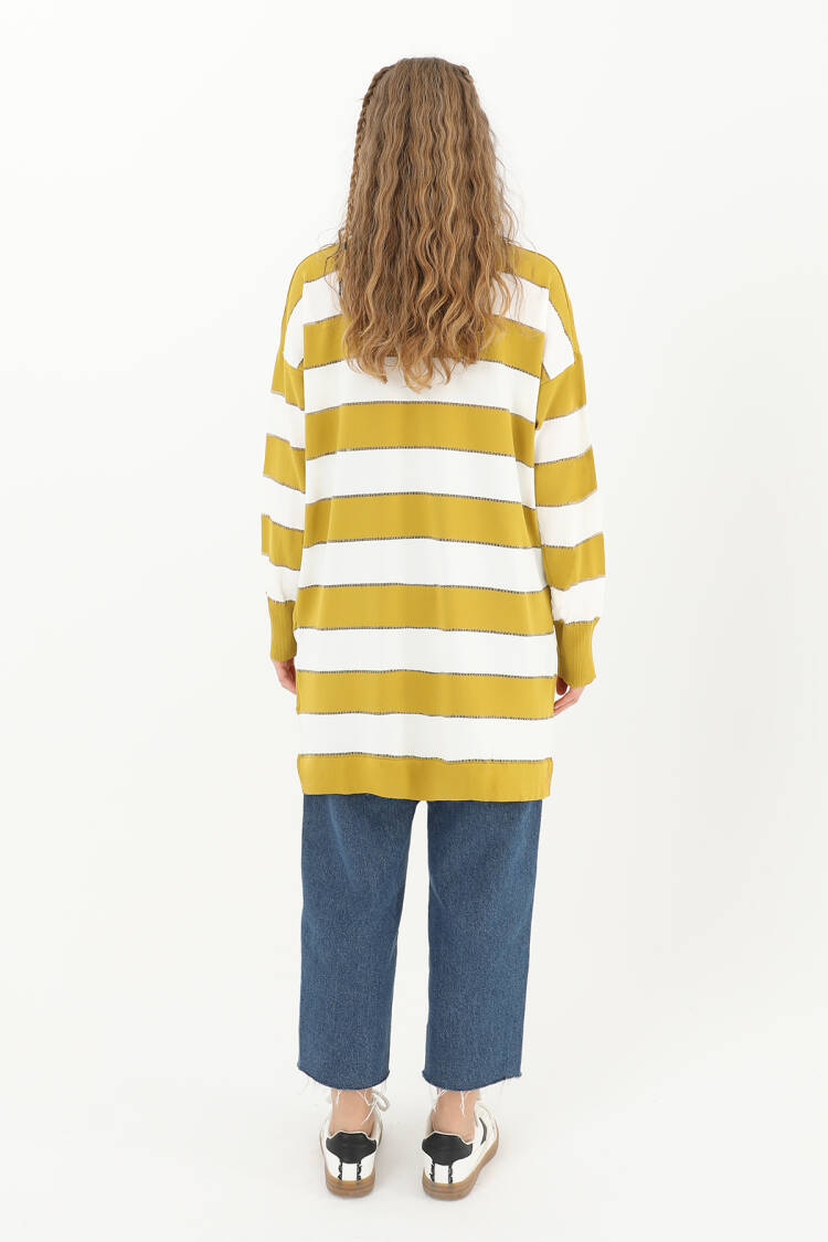 Women's Striped Long Sleeve Tunic