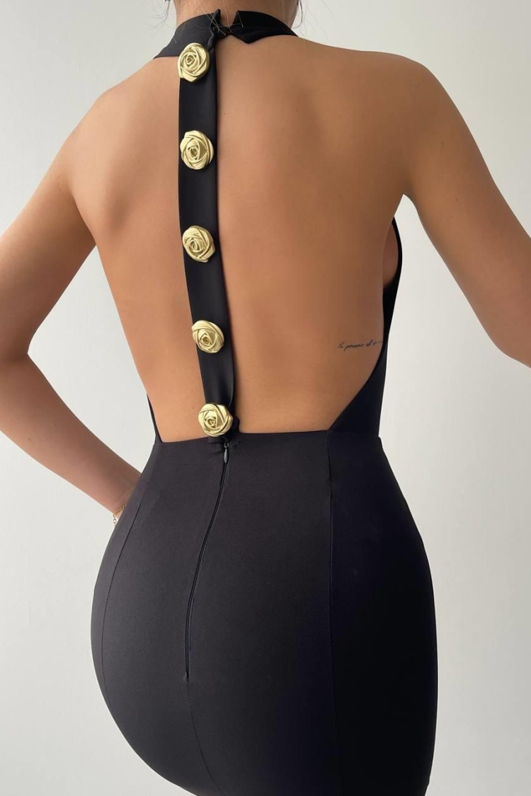 Katalina Rose Button Dress