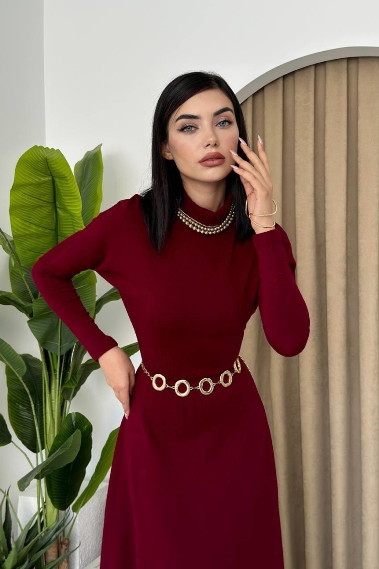 Dina Turtleneck Midi Dress