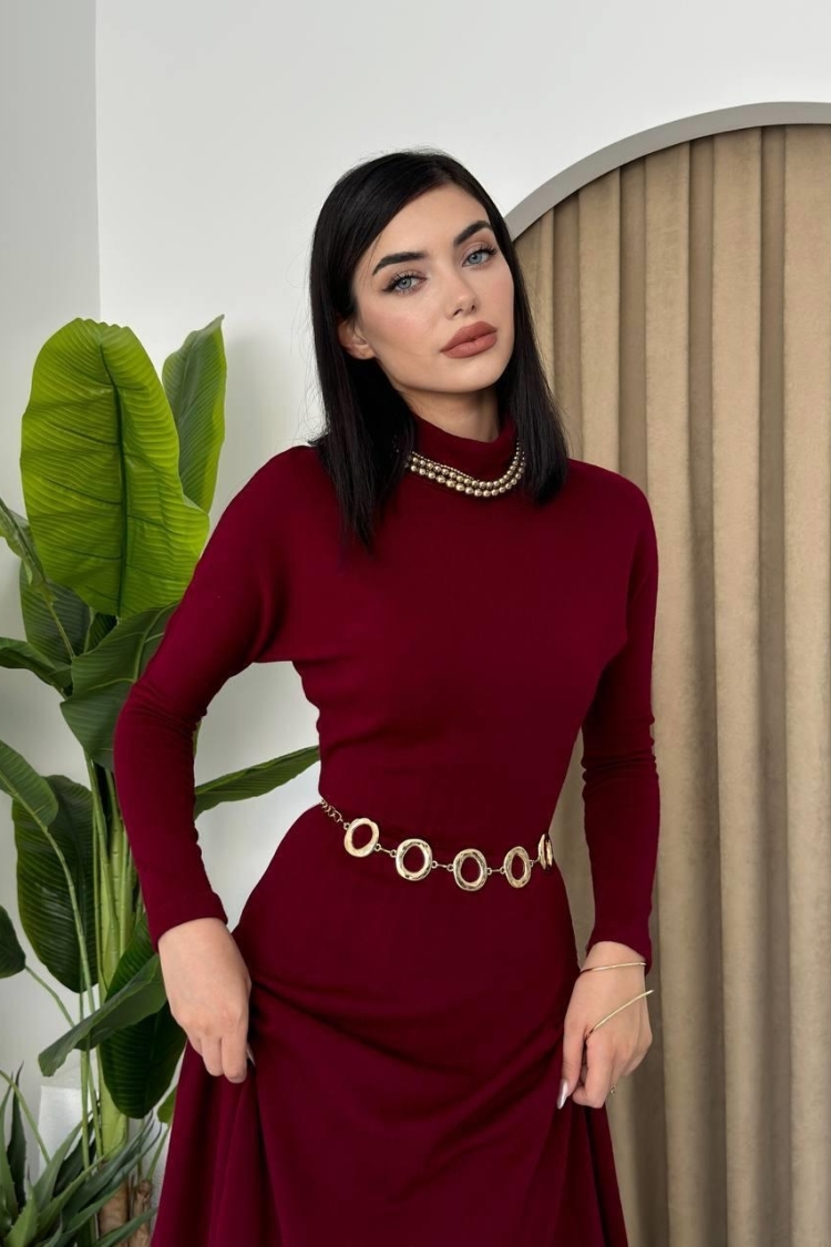 Dina Turtleneck Midi Dress