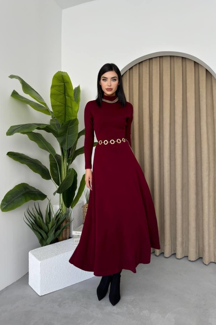 Dina Turtleneck Midi Dress
