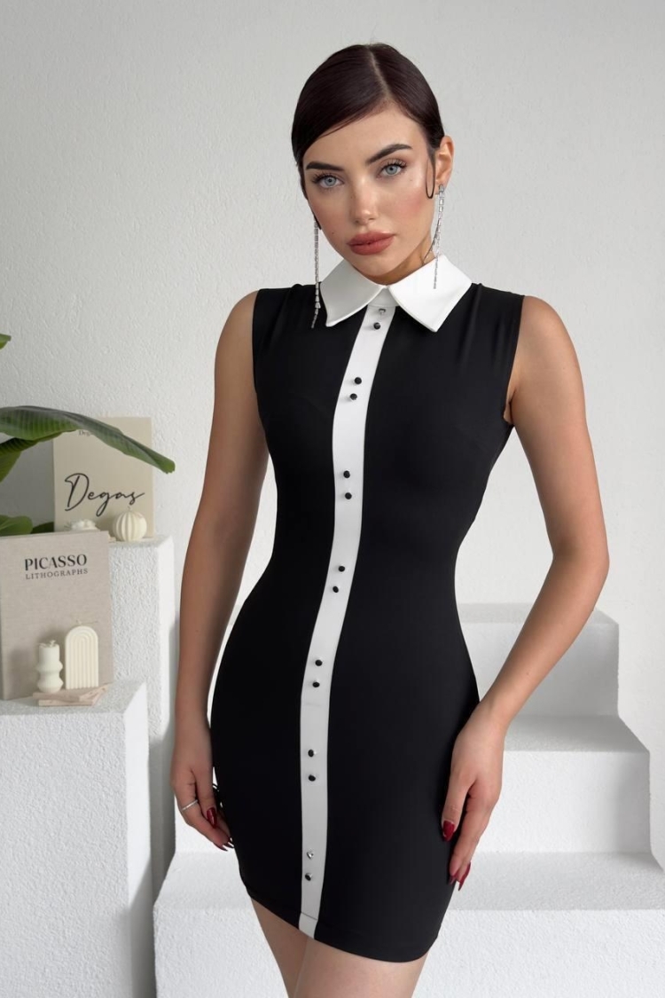 Karina Collar Detail Dress