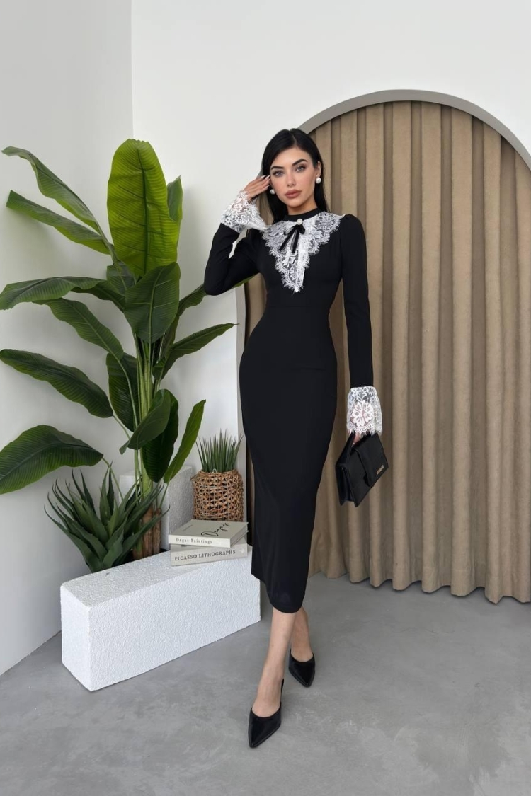 Royal Lace Dress
