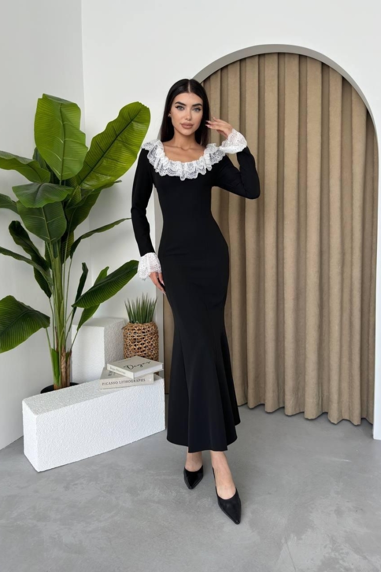 Belfast Lace Collar Dress
