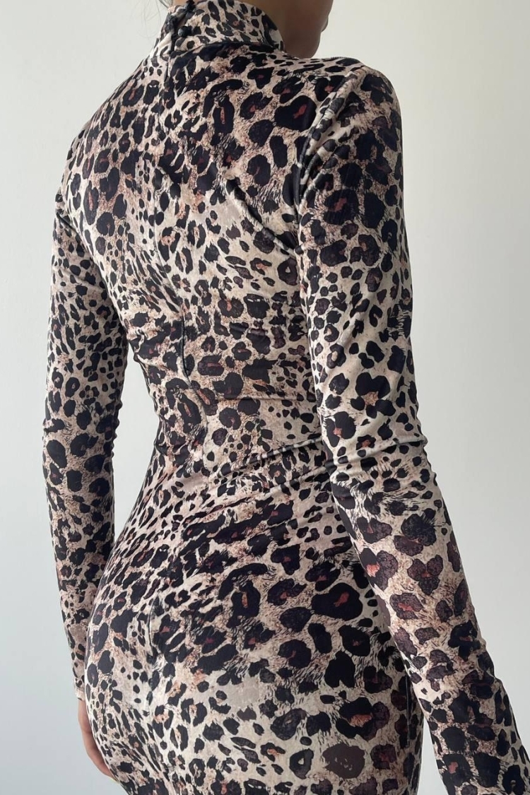 Astora Velvet Dress