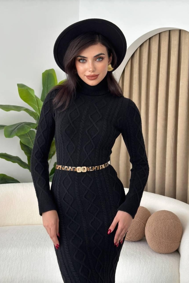 Turtleneck Knit Dress