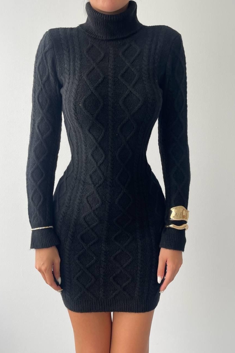 Turtleneck Mini Dress