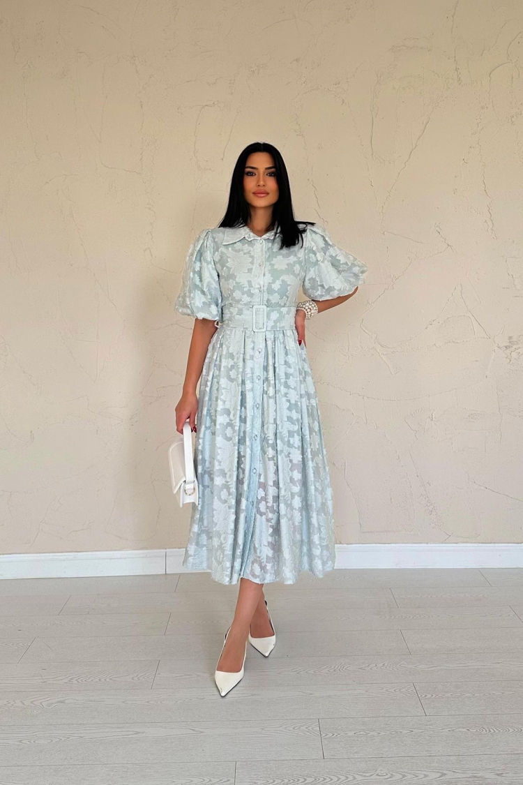 Belted Balloon Sleeve Dress