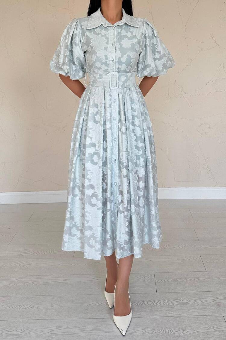 Belted Balloon Sleeve Dress