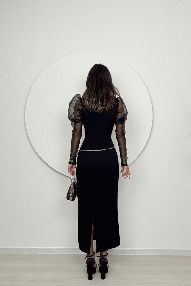Organza Sleeve Slim Dress