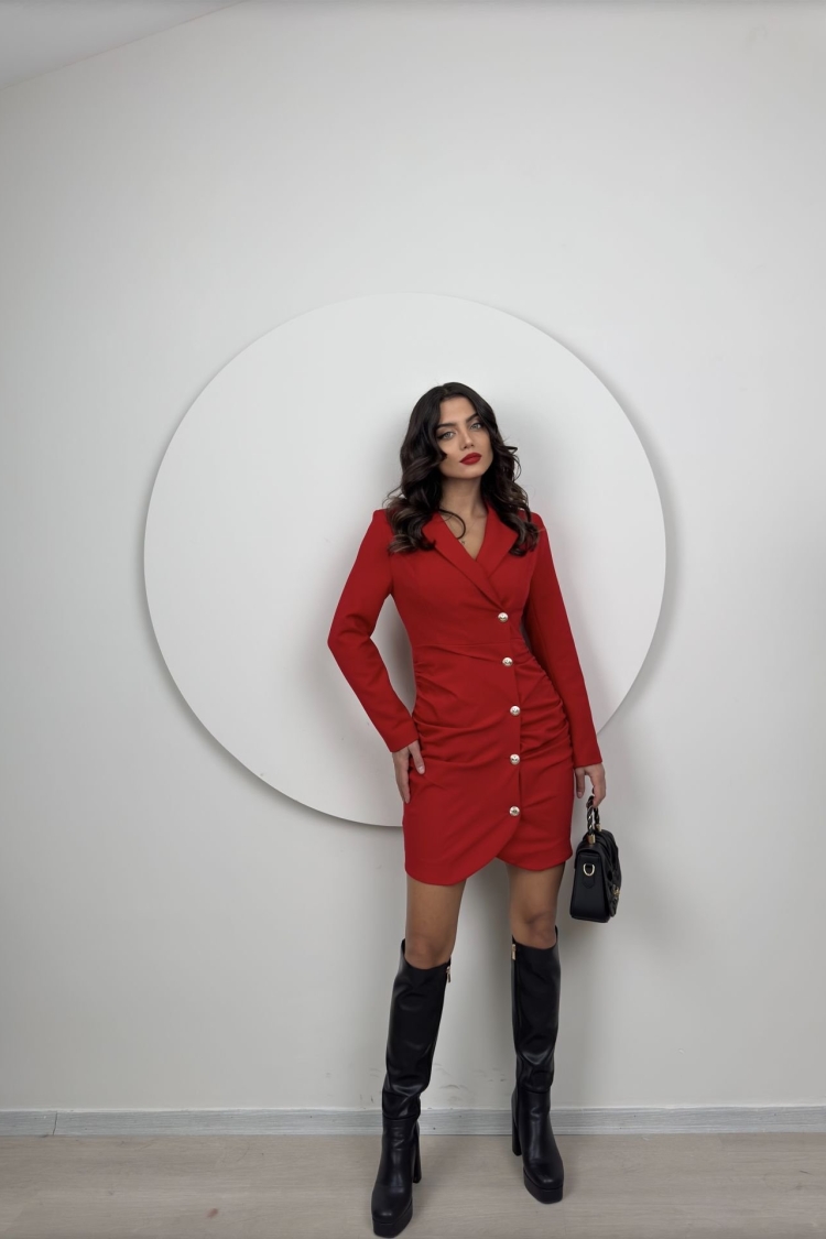 Ruffle Buttoned Jacket Dress