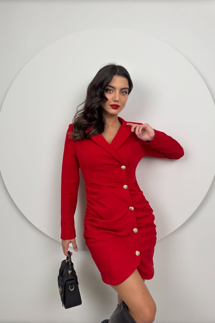 Ruffle Buttoned Jacket Dress