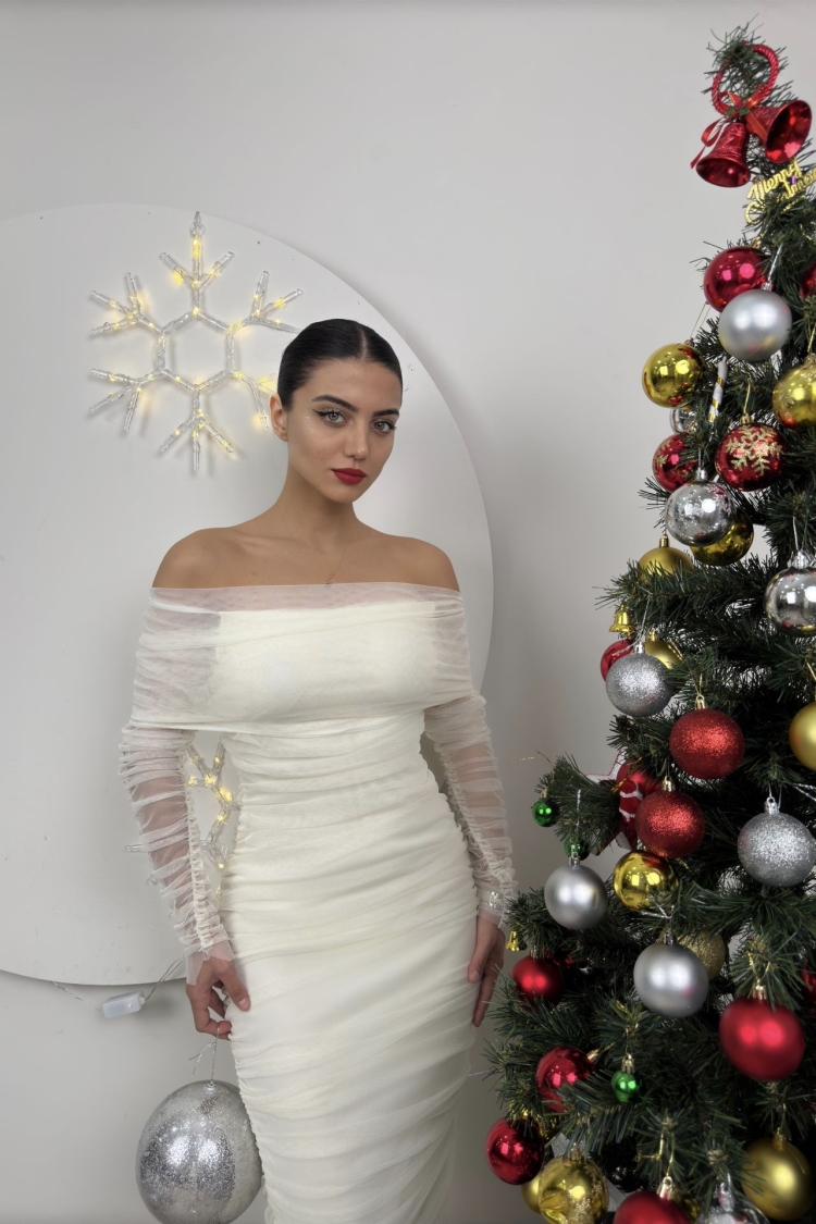 Strapless Ruffle Long Sleeve Tulle Dress - Miss Janell - Globality Store - Women Clothes Wholesale Turkey