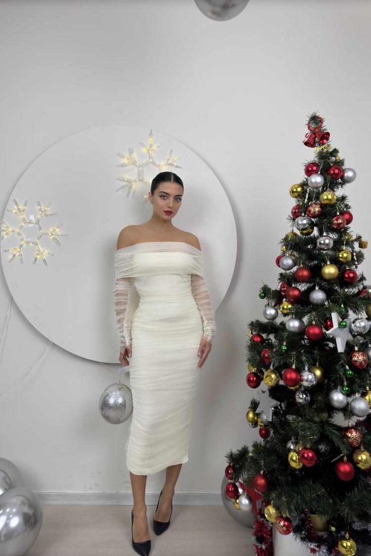 Strapless Ruffle Long Sleeve Tulle Dress
