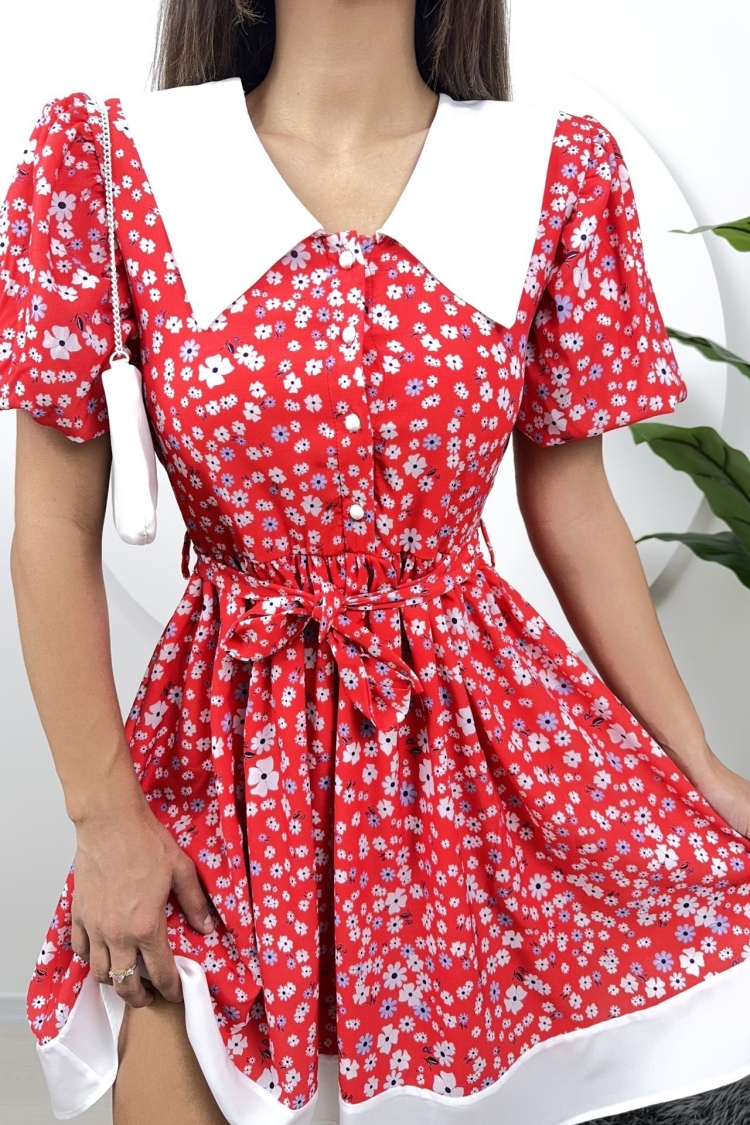Collar Detail Crepe Mini Dress