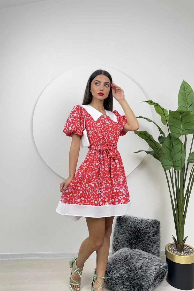 Collar Detail Crepe Mini Dress - Miss Janell - Globality Store - Women Clothes Wholesale Turkey