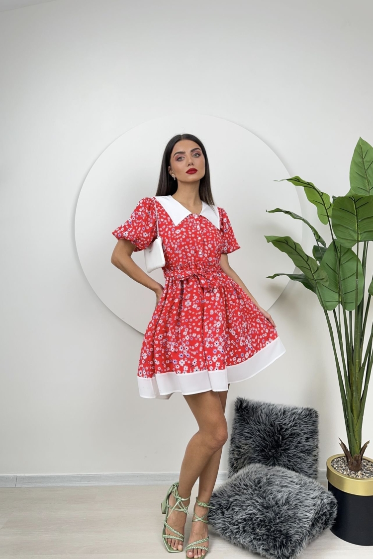 Collar Detail Crepe Mini Dress