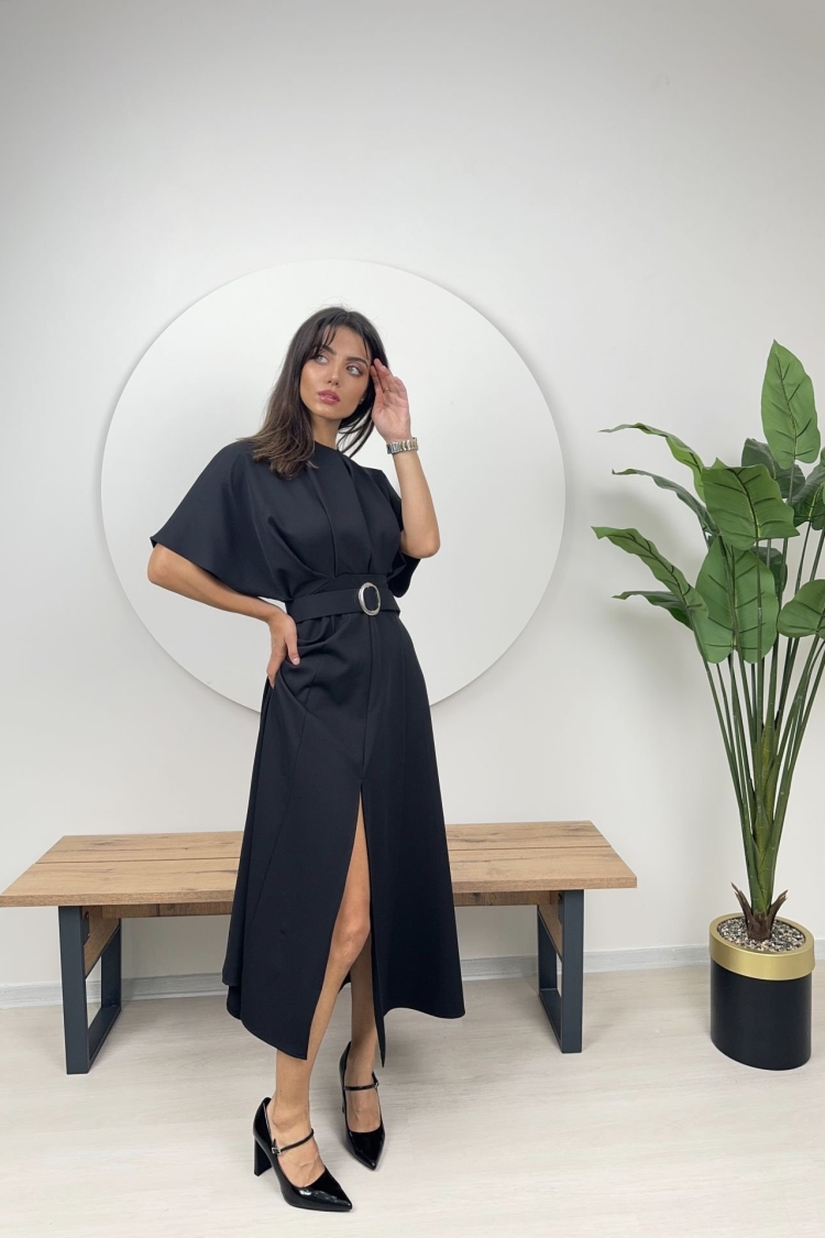 Atlas Fabric Belted Dress
