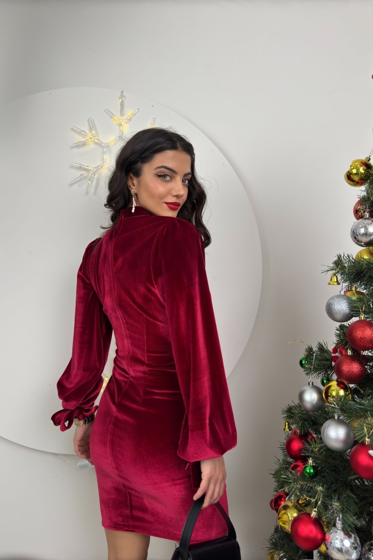 Velvet Dominant Collar Dress