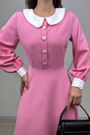 Midi Baby Collar Dress - Miss Janell - Globality Store - Women Clothes Wholesale Turkey