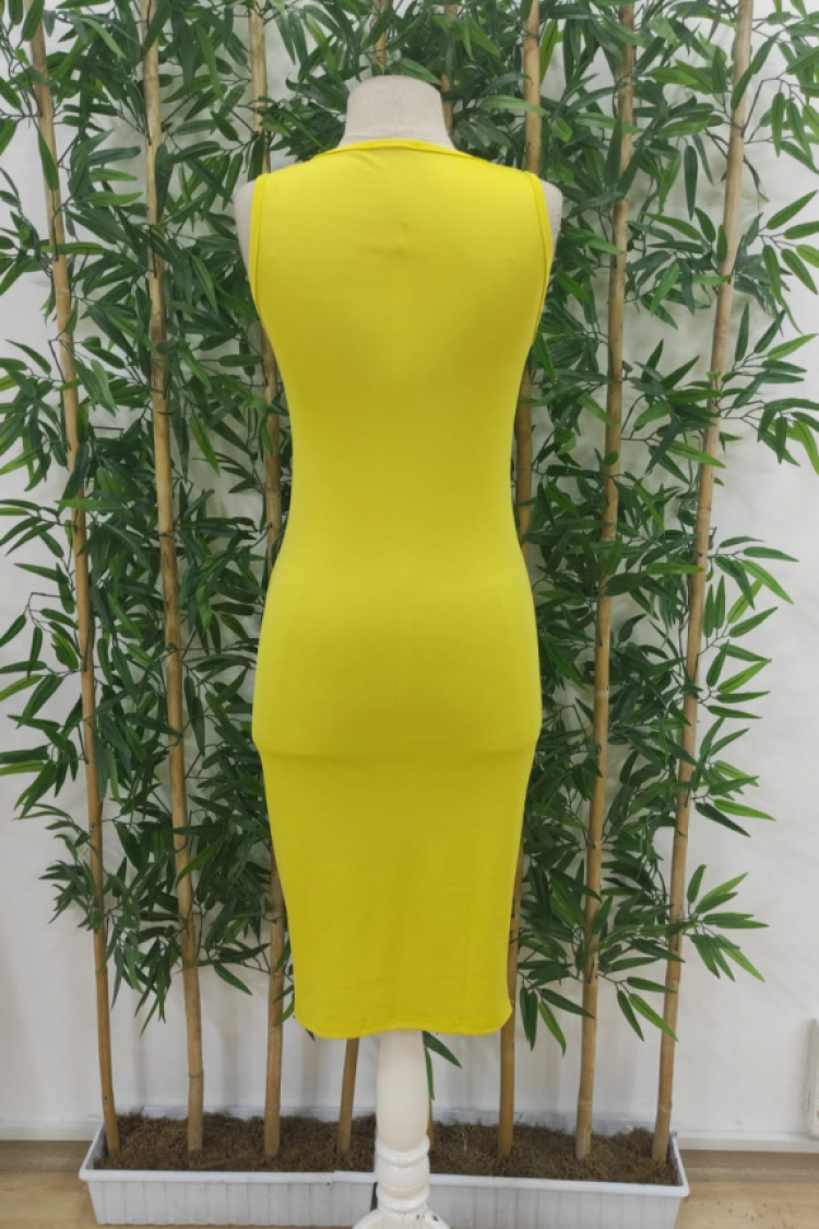 Women's Bodycon Midi Diving Dress