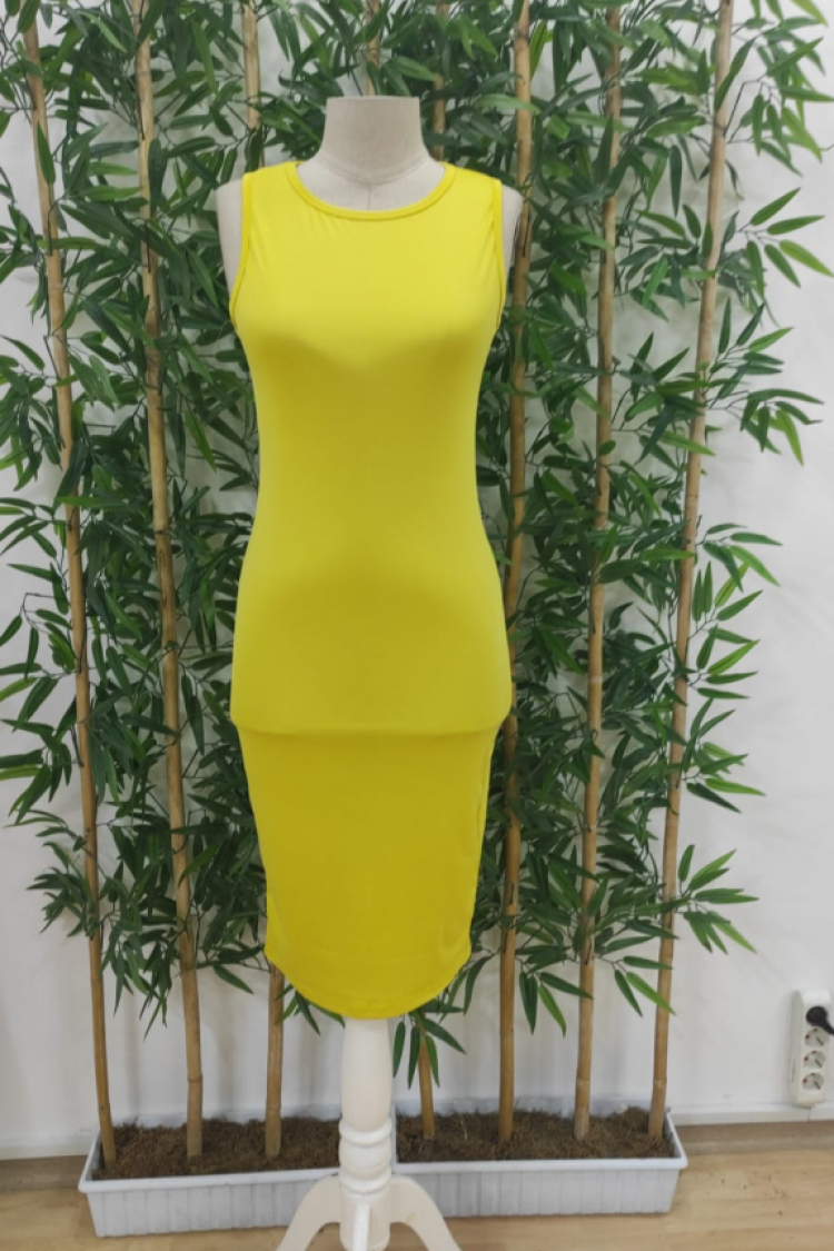 Women's Bodycon Midi Diving Dress