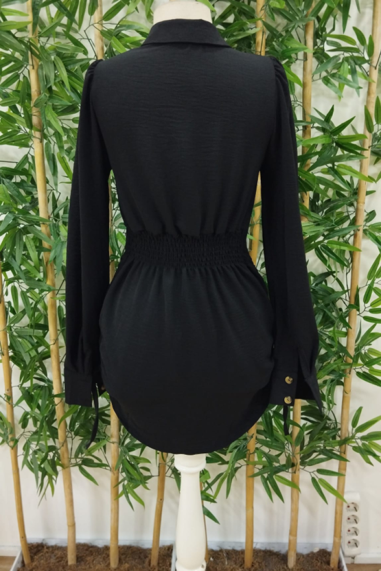 Women's Long Sleeve Shirt Collar Front Buttoned Side Gathered Short Aerobin Dress