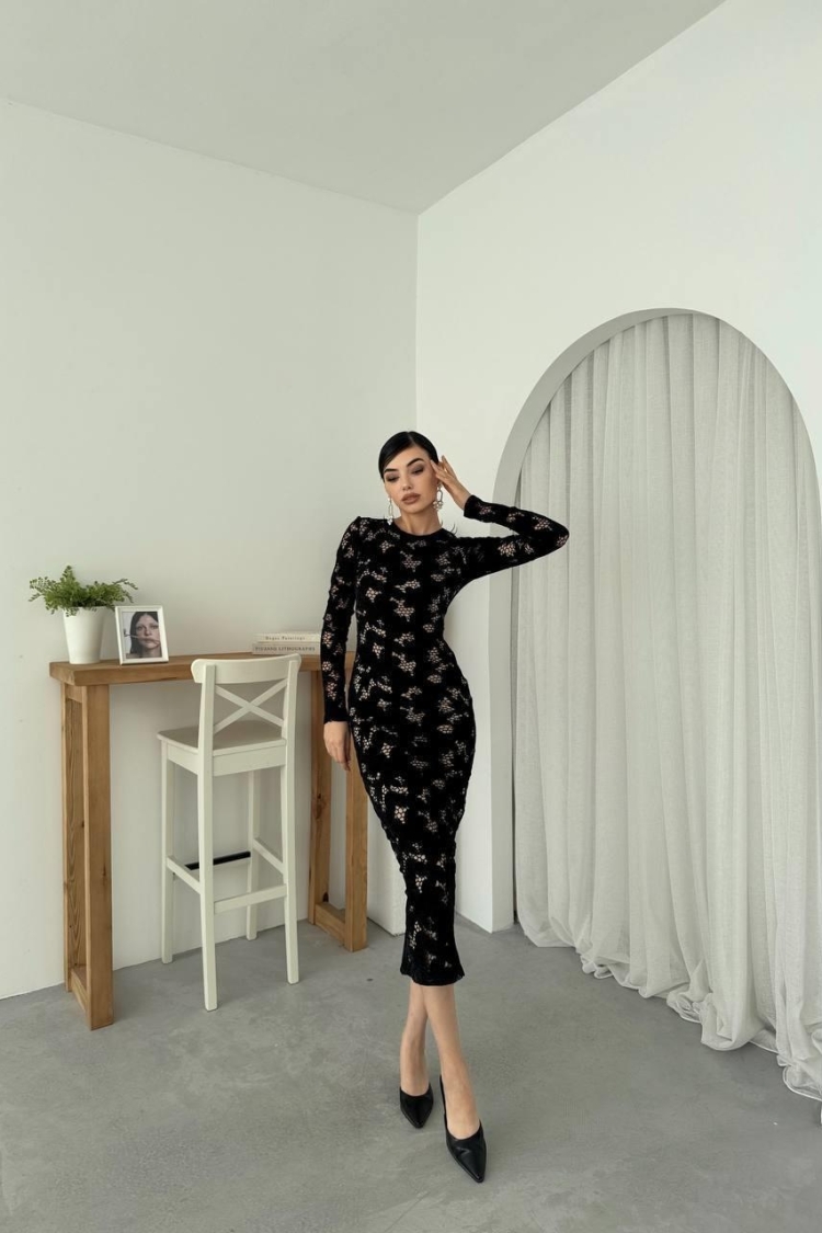 Hion Guipure Dress