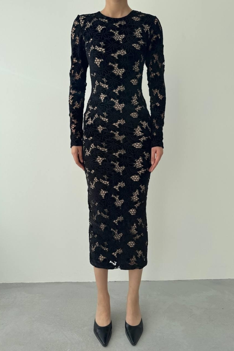 Hion Guipure Dress