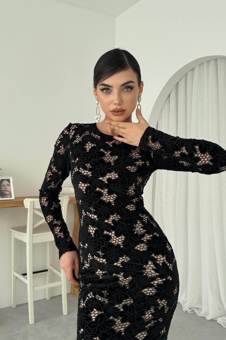 Hion Guipure Dress