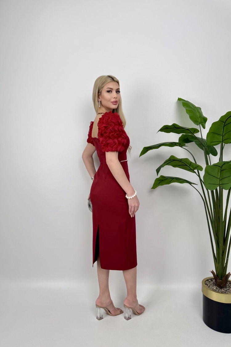 Sleeves Imported Fabric Pearl Deyat Dress