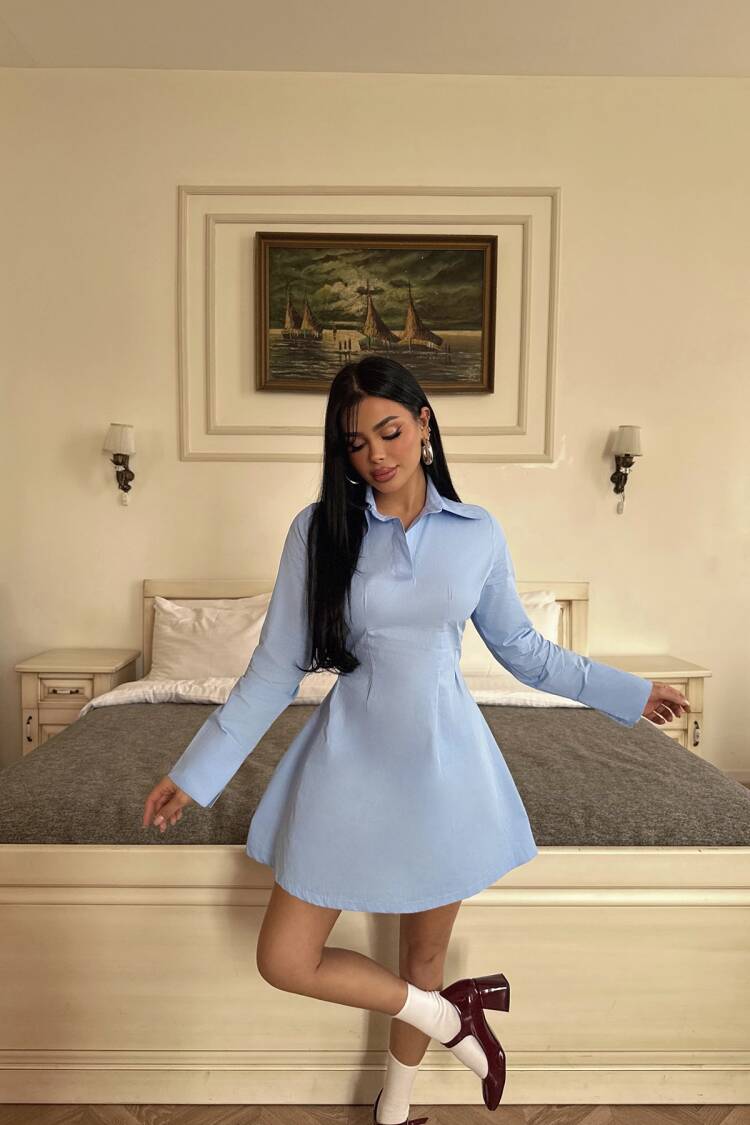 Shirt Collar Mini Dress