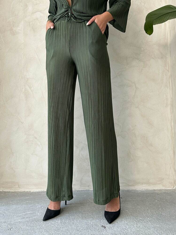 Pleated Trousers