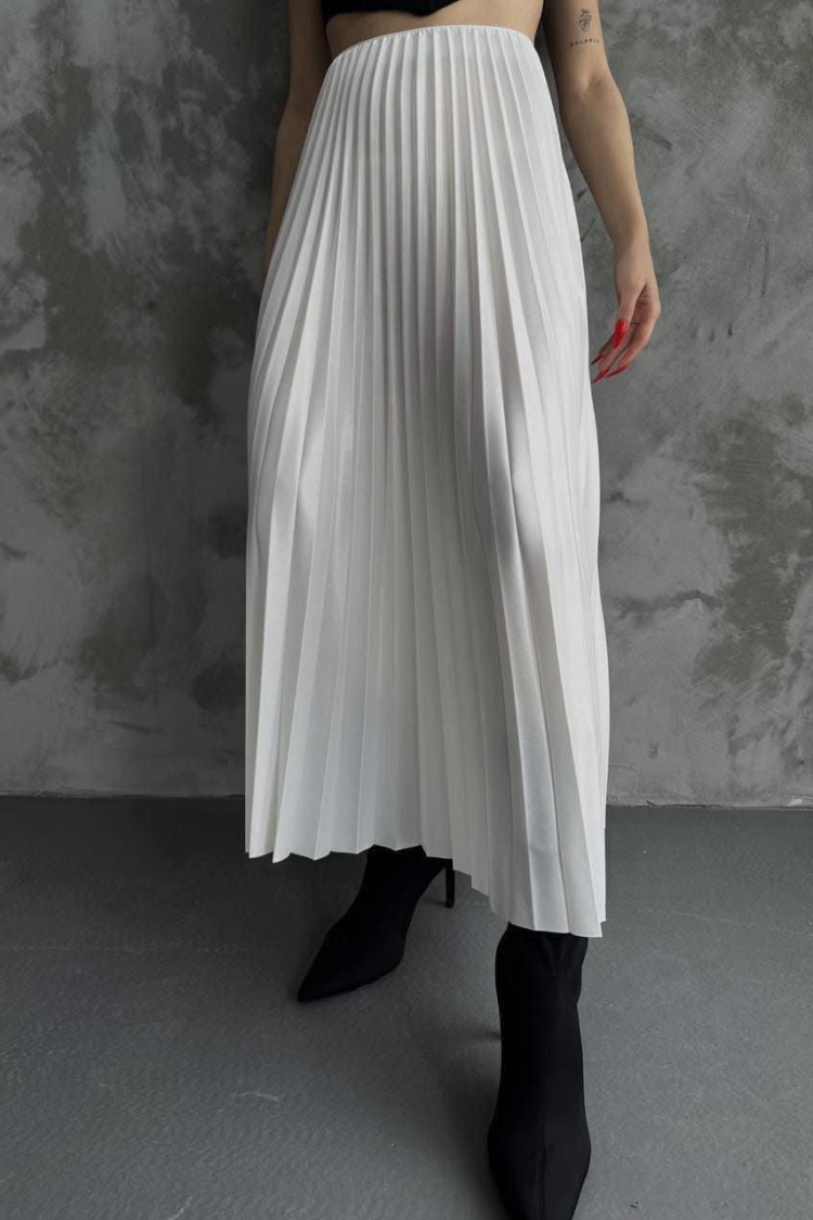 Pleated Skirt