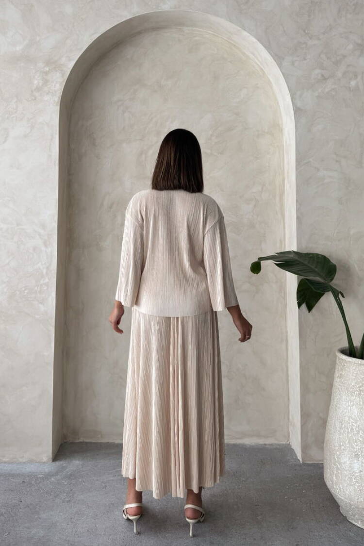 Pleated Skirt