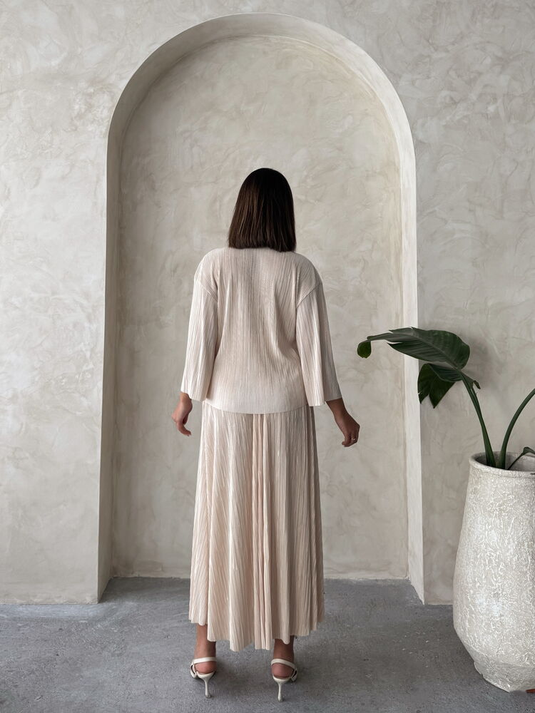 Pleated Skirt