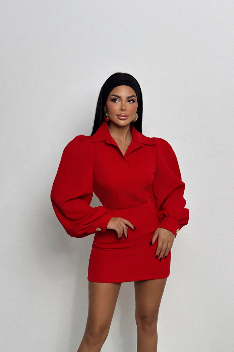 Shirt Collar Mini Dress