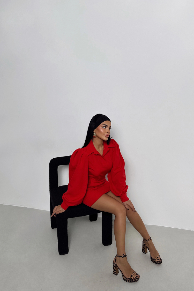 Shirt Collar Mini Dress
