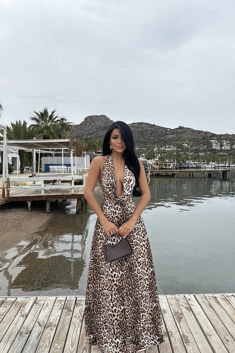 Dulcie Long Leopard Dress