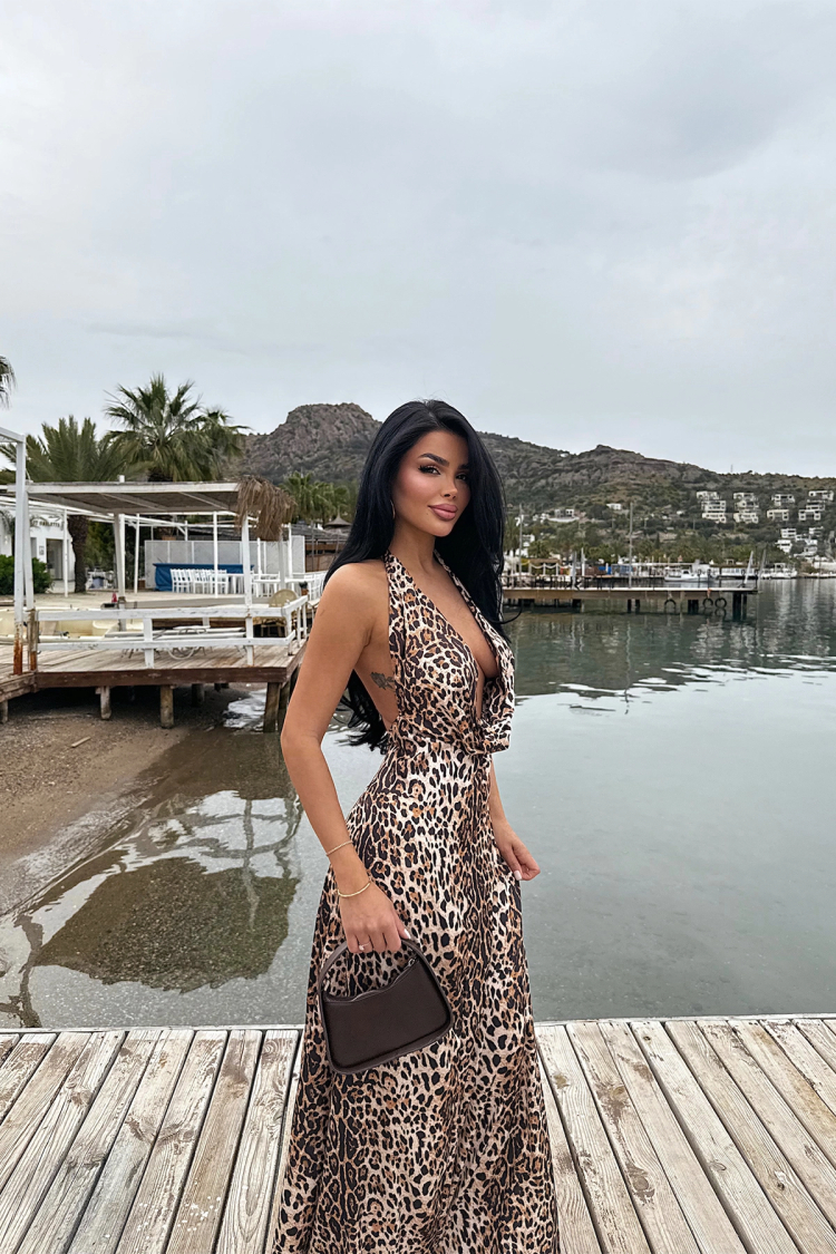 Dulcie Long Leopard Dress