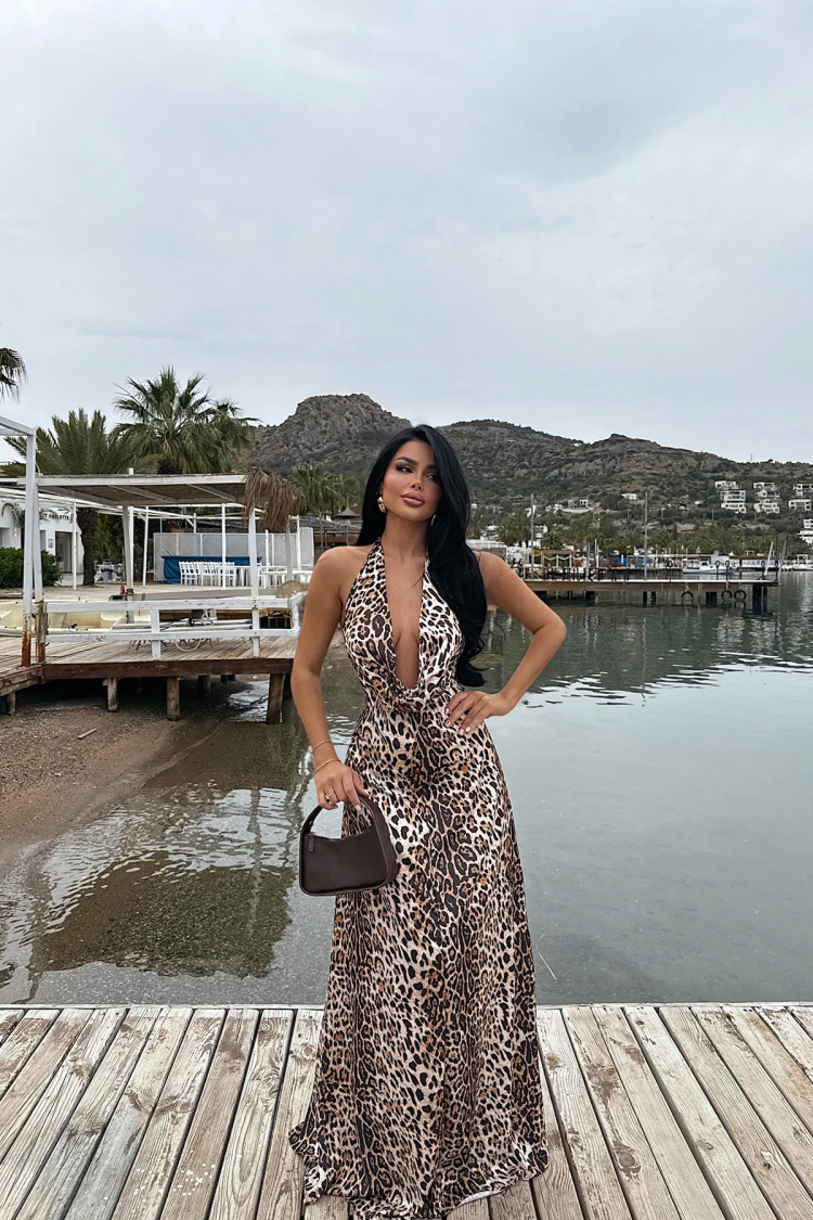 Dulcie Long Leopard Dress