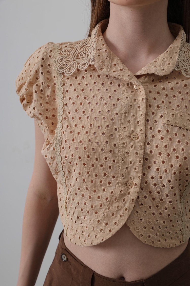 Lace Collar Wadded Blouse