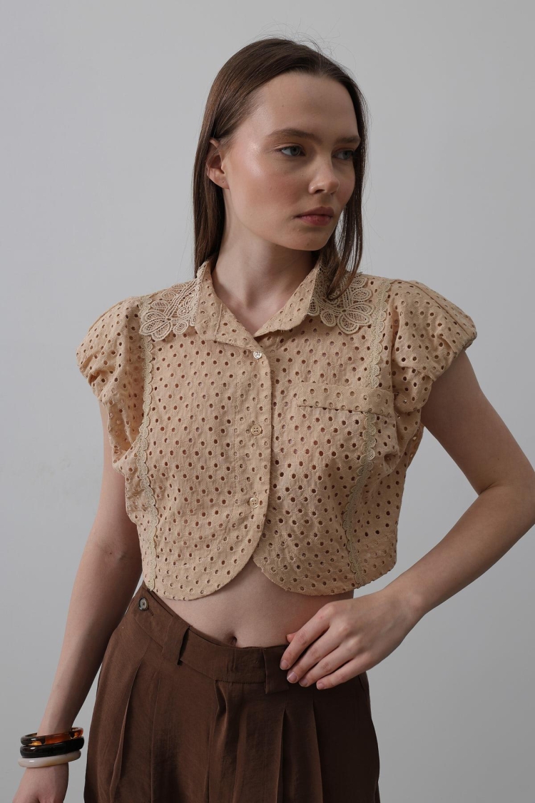 Lace Collar Wadded Blouse