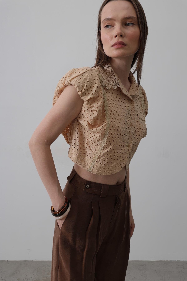 Lace Collar Wadded Blouse