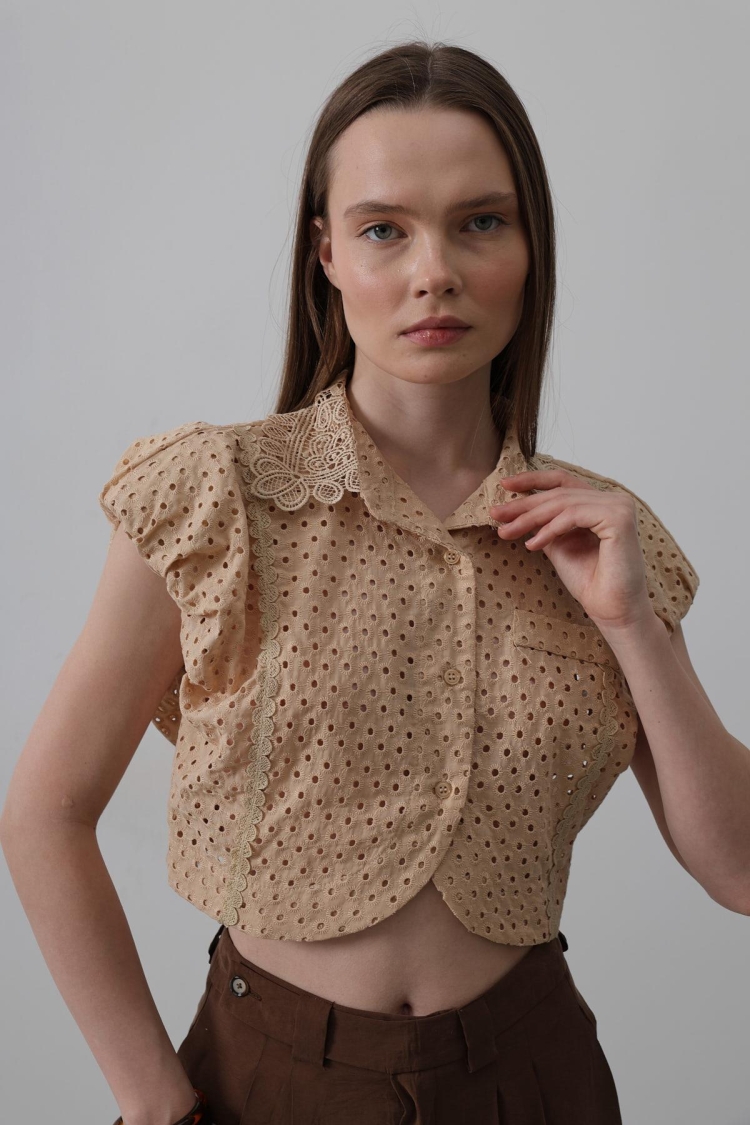 Lace Collar Wadded Blouse