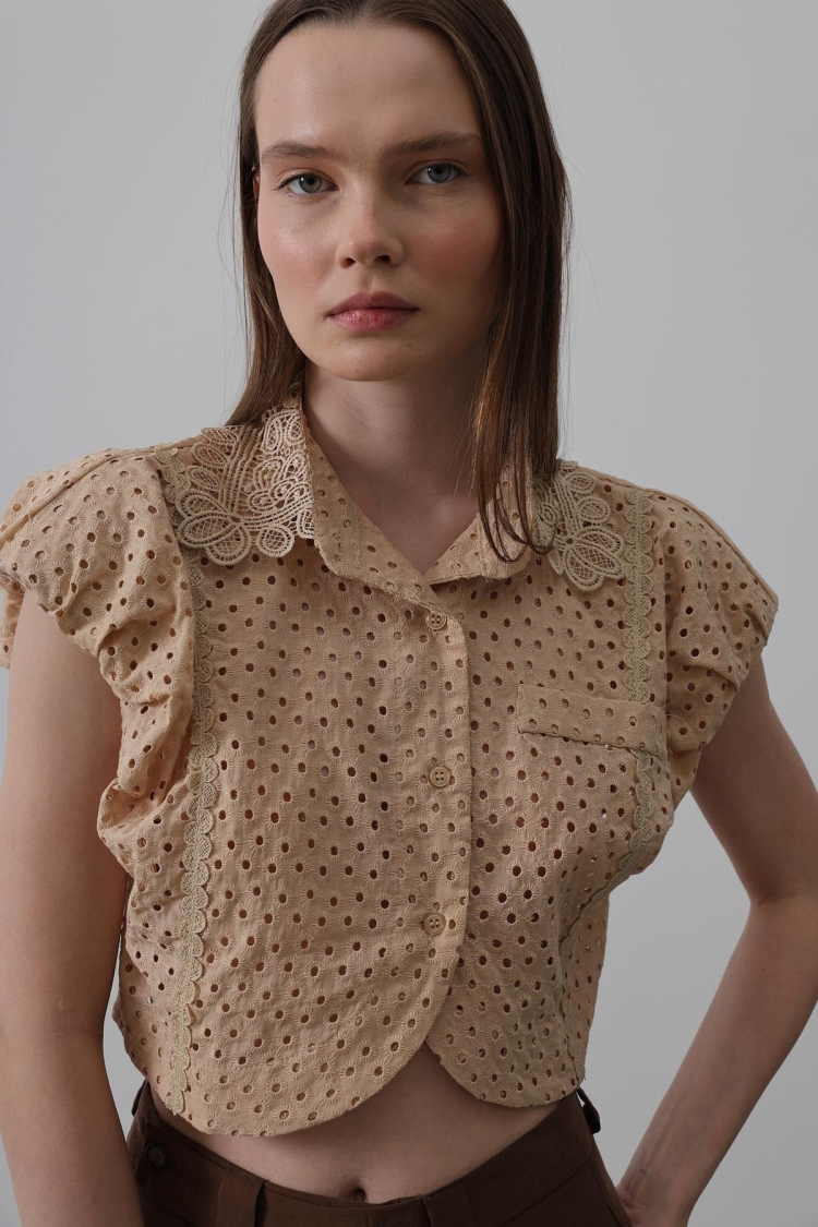 Lace Collar Wadded Blouse
