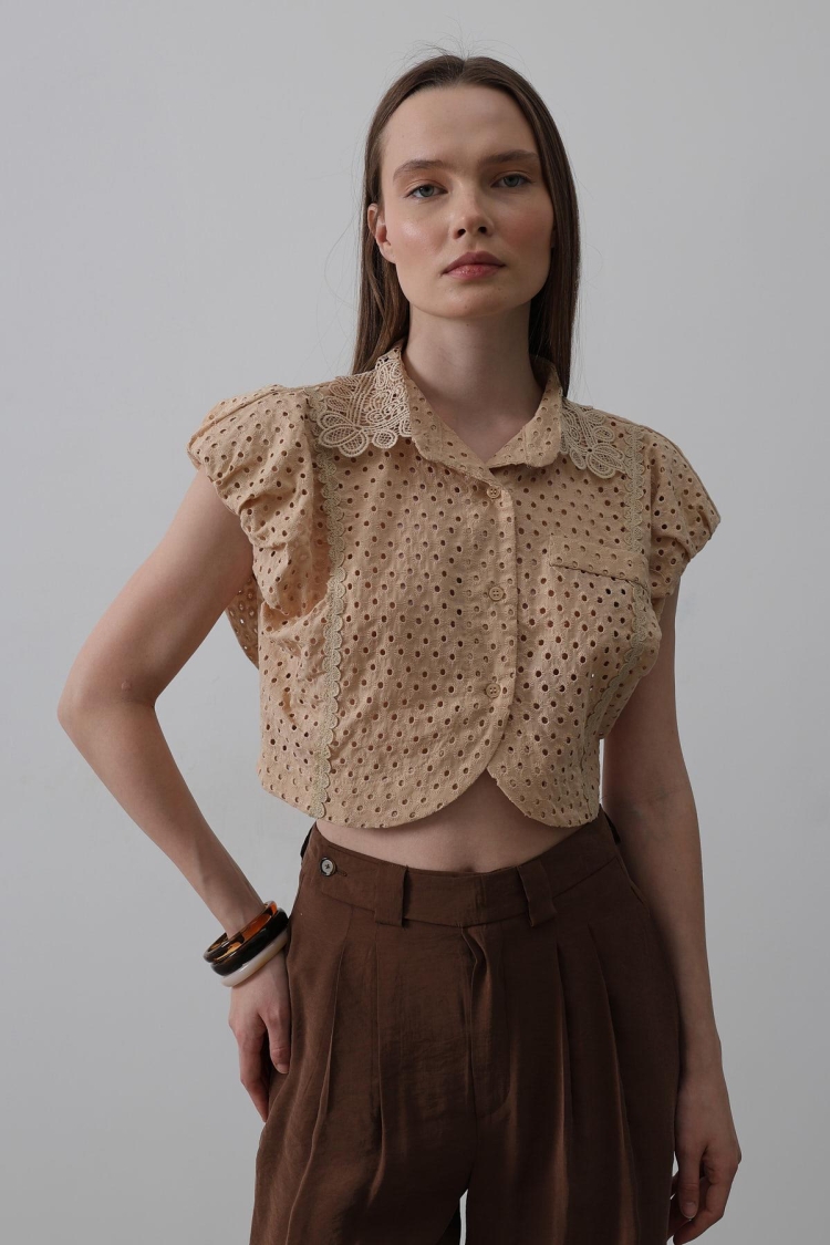 Lace Collar Wadded Blouse