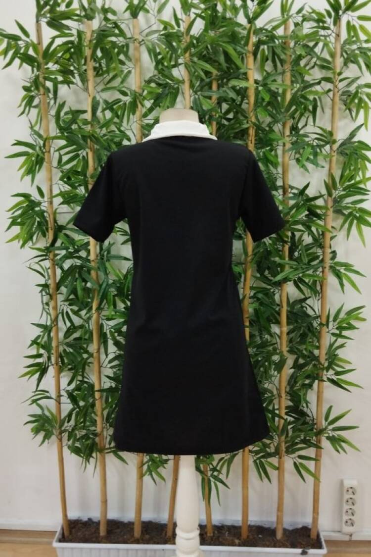 Women's Short Collar Block Color Imported Crepe Dress - Black
